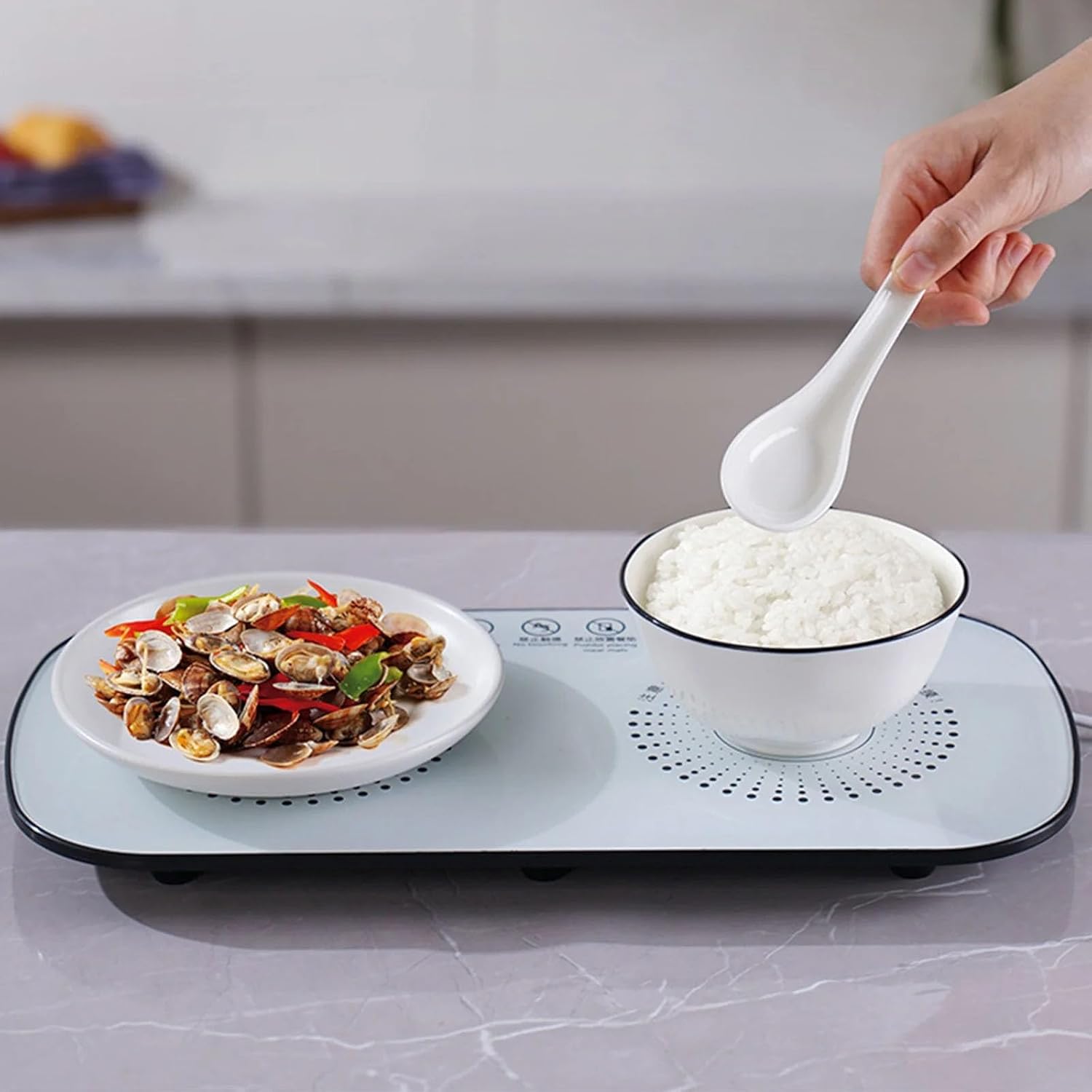 Multifunctional Electric Food Heating Glass Tray