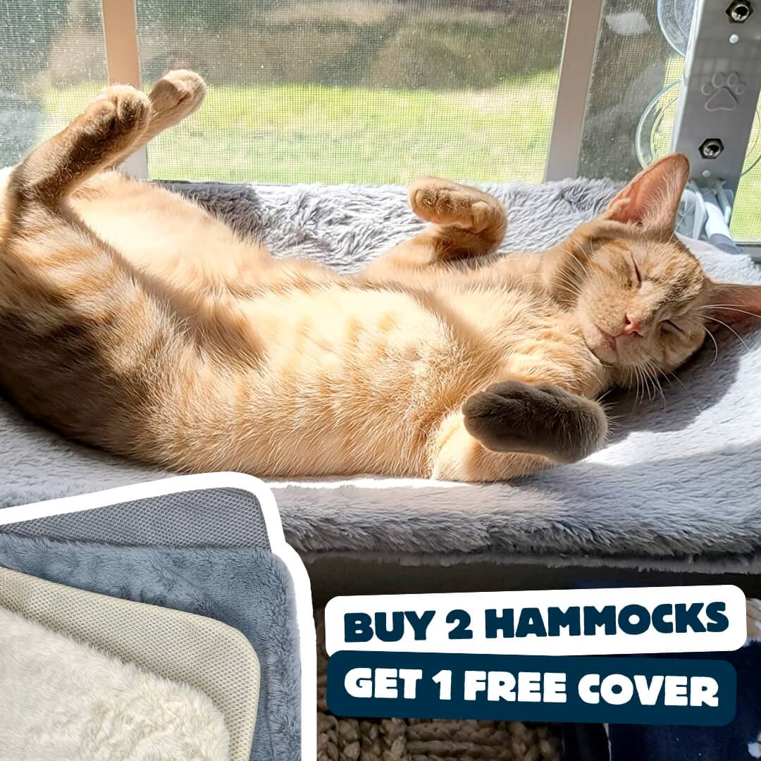 Cat Safety Bed With Heavy Duty Suction Cups