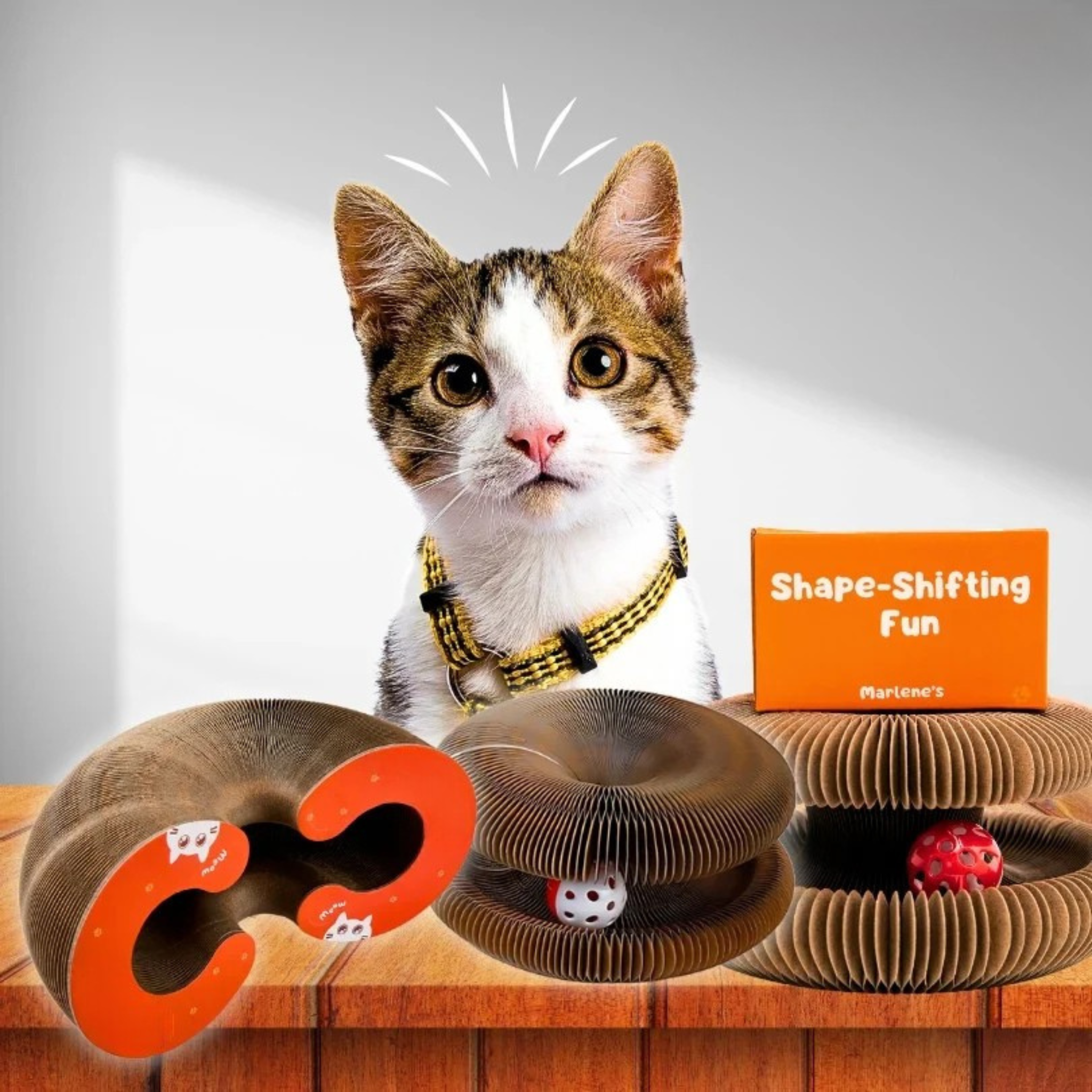 Cativity - Cat Interactive Toy