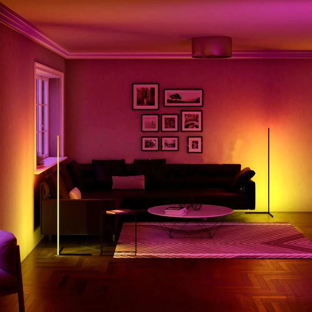 Modern Art Zenith Corner Floor Lamp