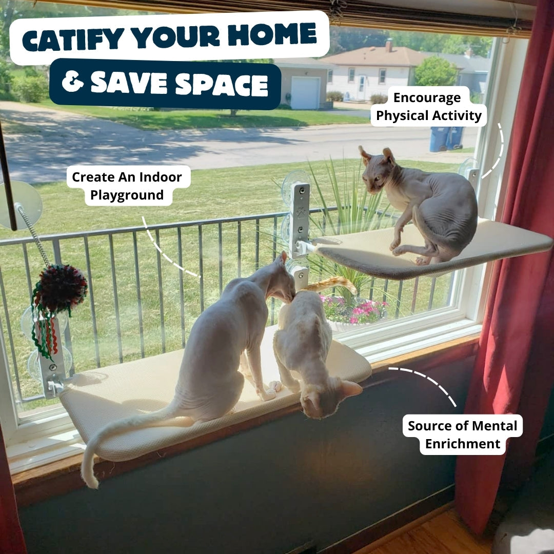 Cat Safety Bed With Heavy Duty Suction Cups