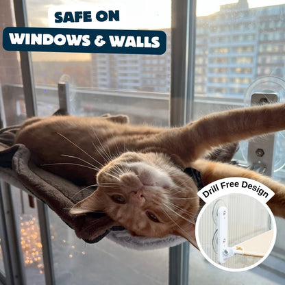 Cat Safety Bed With Heavy Duty Suction Cups