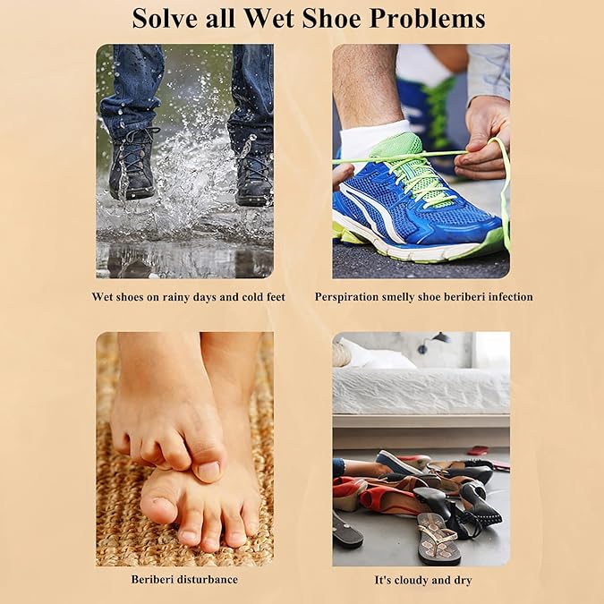 Electric Shoe Dryer with Heat Blower