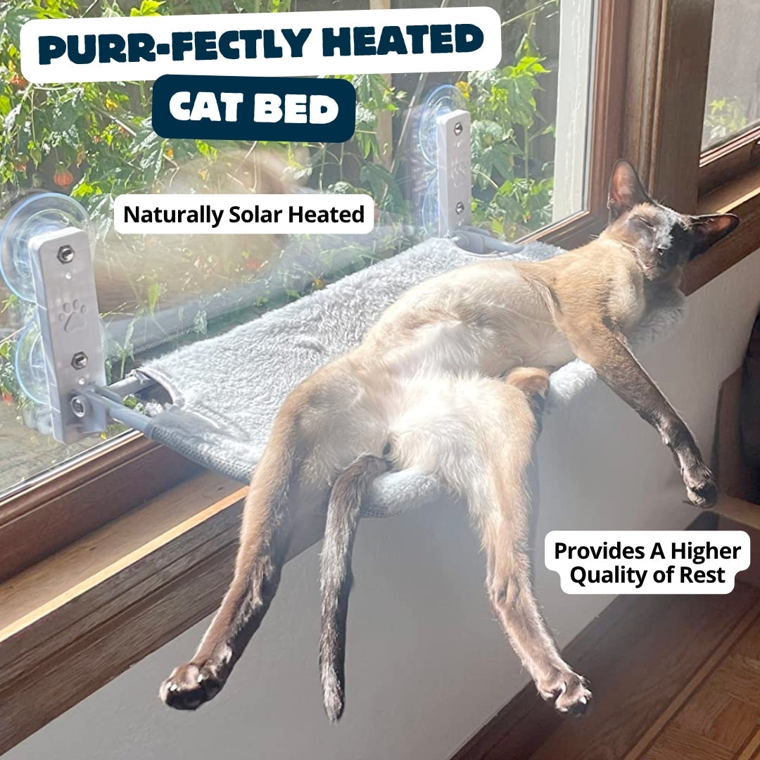 Cat Safety Bed With Heavy Duty Suction Cups
