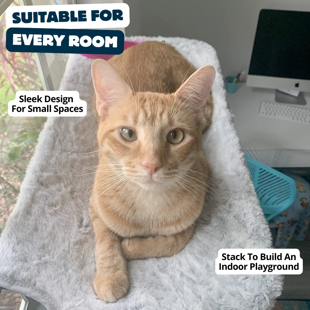 Cat Safety Bed With Heavy Duty Suction Cups